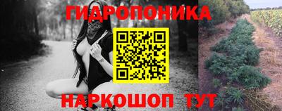 стафф Пыть-Ях